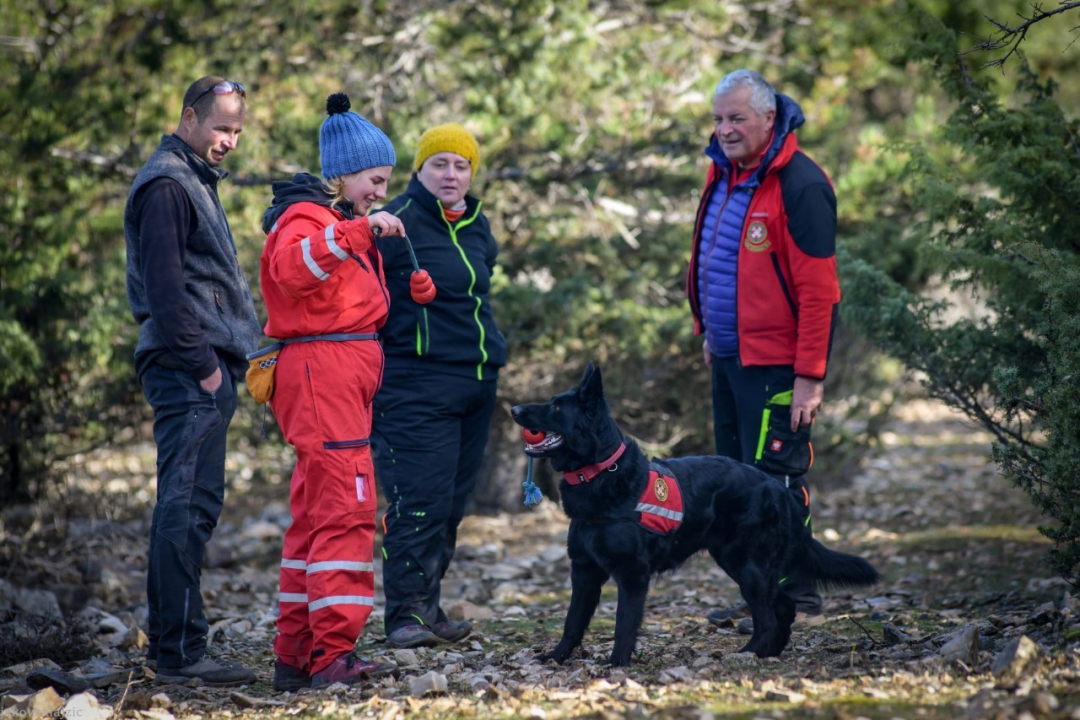 Psi su jako važni u potražnim akcijama, a ovako izgleda trening mladih pasa i štenaca