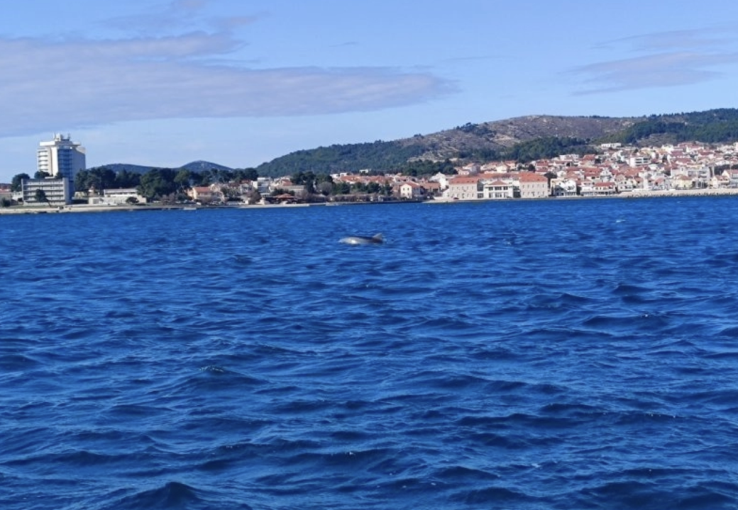 Dupin se zaigrao ispred Vodica!