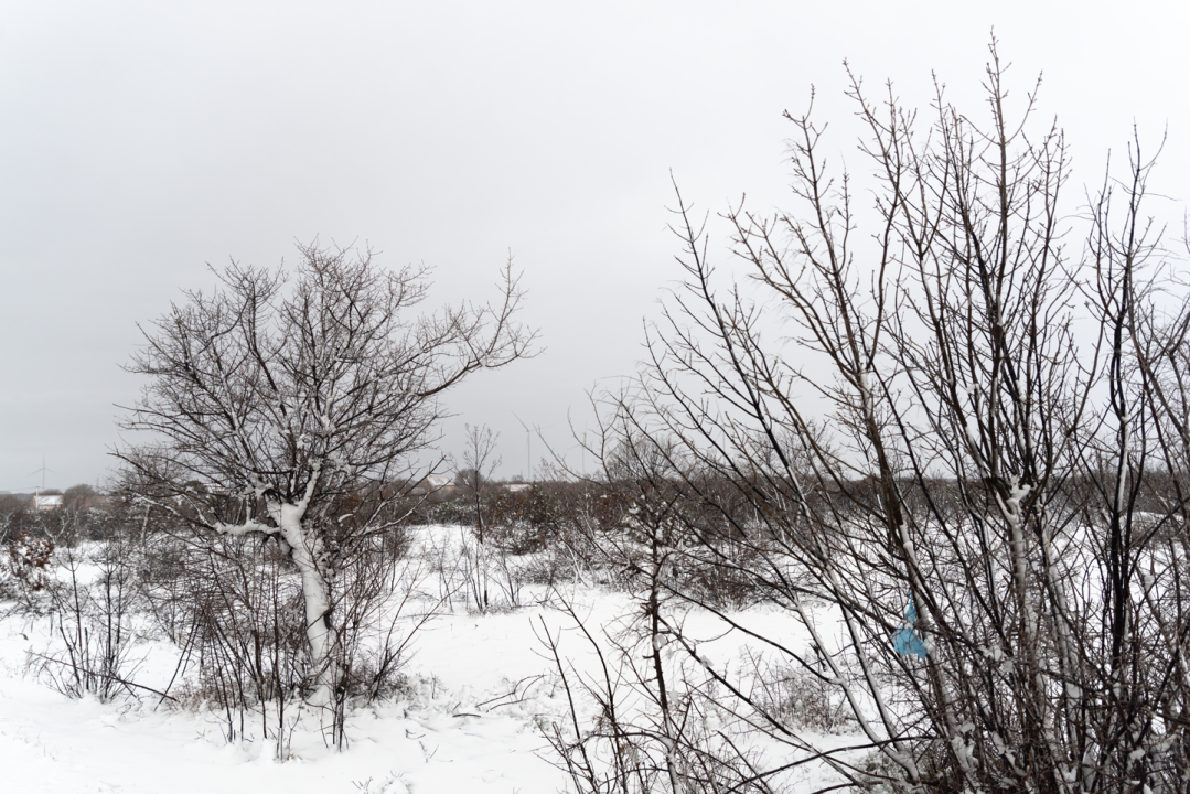 Zimska bajka na Burnumu i Manojlovcu