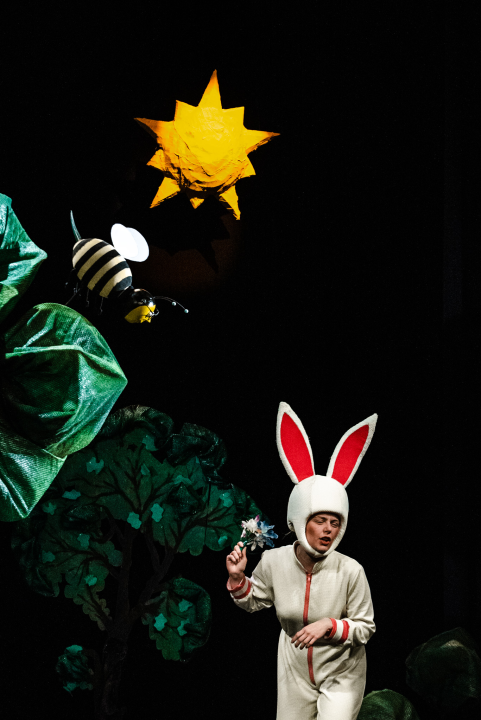 Šibensko kazalište ima novu predstavu za djecu: 'Ovo je nastavak avantura zeke i vjeverice'