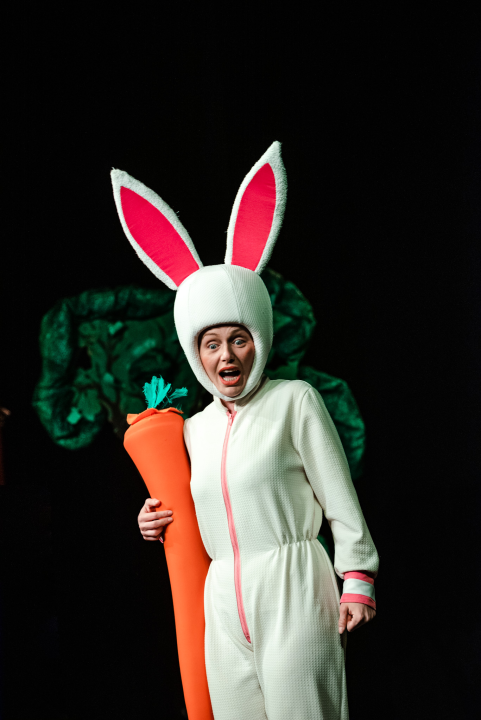 Šibensko kazalište ima novu predstavu za djecu: 'Ovo je nastavak avantura zeke i vjeverice'