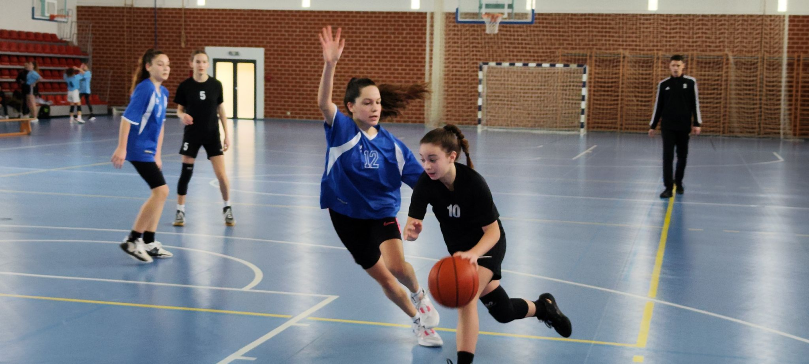 Košarkašice OŠ Meterize i košarkaši OŠ Antuna Mihanovića-Petropoljskog najbolji su u županiji 