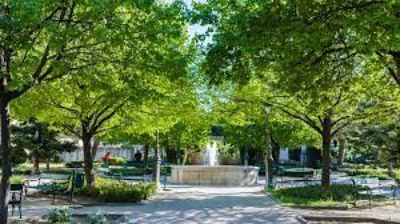 Uskoro četvrto kolo Adventure sport lige – Izaberi sport!: 'Vrhovima Visiania'