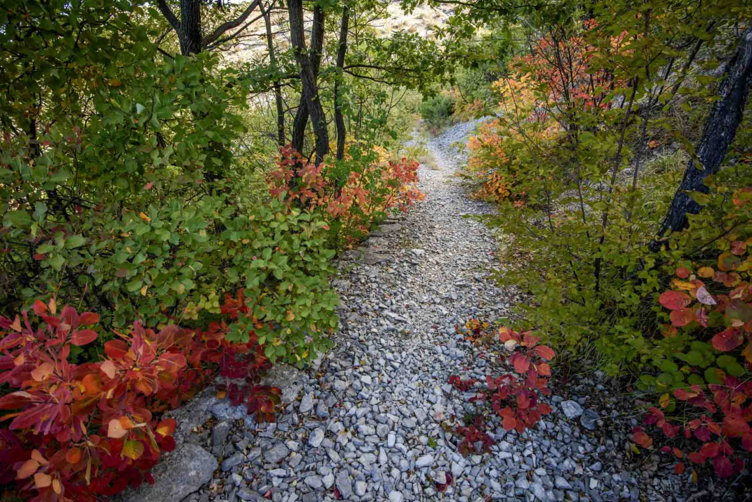 Posjeti NP &quot;Krka&quot; na Praznik rada, preuzmi svoju sadnicu i posadi je za budućnost!