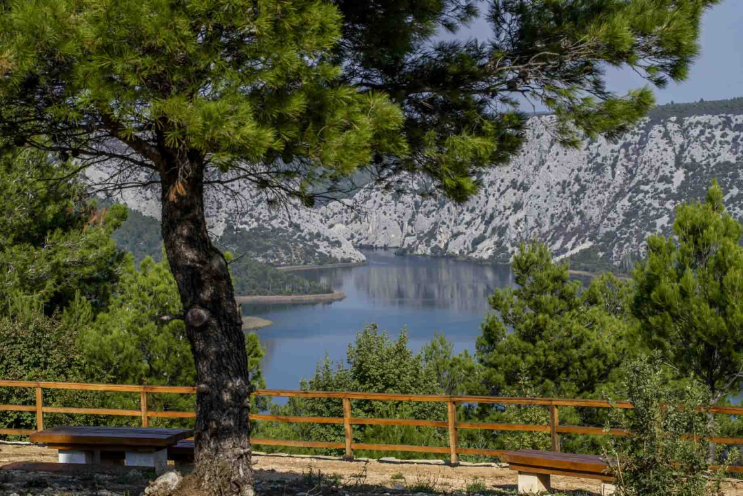 Posjeti NP &quot;Krka&quot; na Praznik rada, preuzmi svoju sadnicu i posadi je za budućnost!