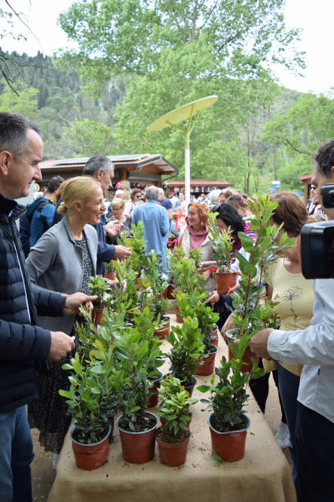 NP Krka pridružio se europskoj akciji 'Rastemo zajedno', posjetiteljima podijelili tisuću sadnica