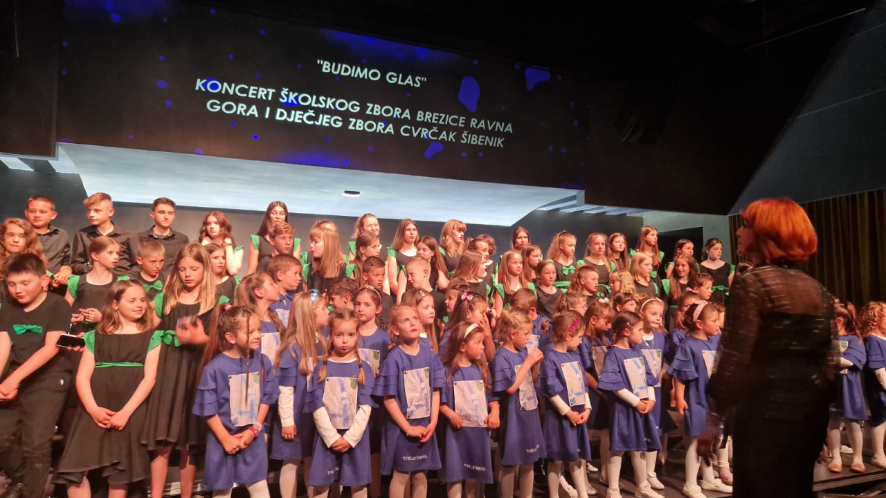 'Mali cvrčci' i njihovi gosti u Kući umjetnosti Arsen oduševili publiku koncertom 'Budimo glas' 