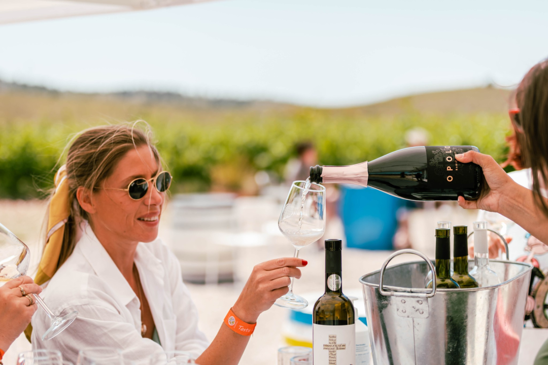 Vikend rezervirajte za turu po vinarijama i kušanje vrhunskih lokalnih vina!