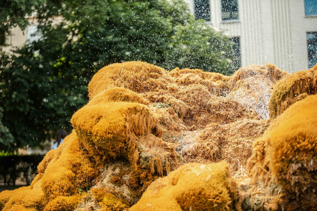 Fontana ispred Gospe van grada malo je požutila: Za par dana opet će zazeleniti, obećali su iz Zelenog grada 