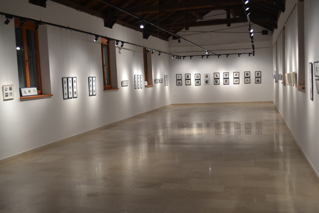 U galeriji Kninskog muzeja otvorena izložba crteža naziva 'Misli' akademske grafičarke Katarine Galić 