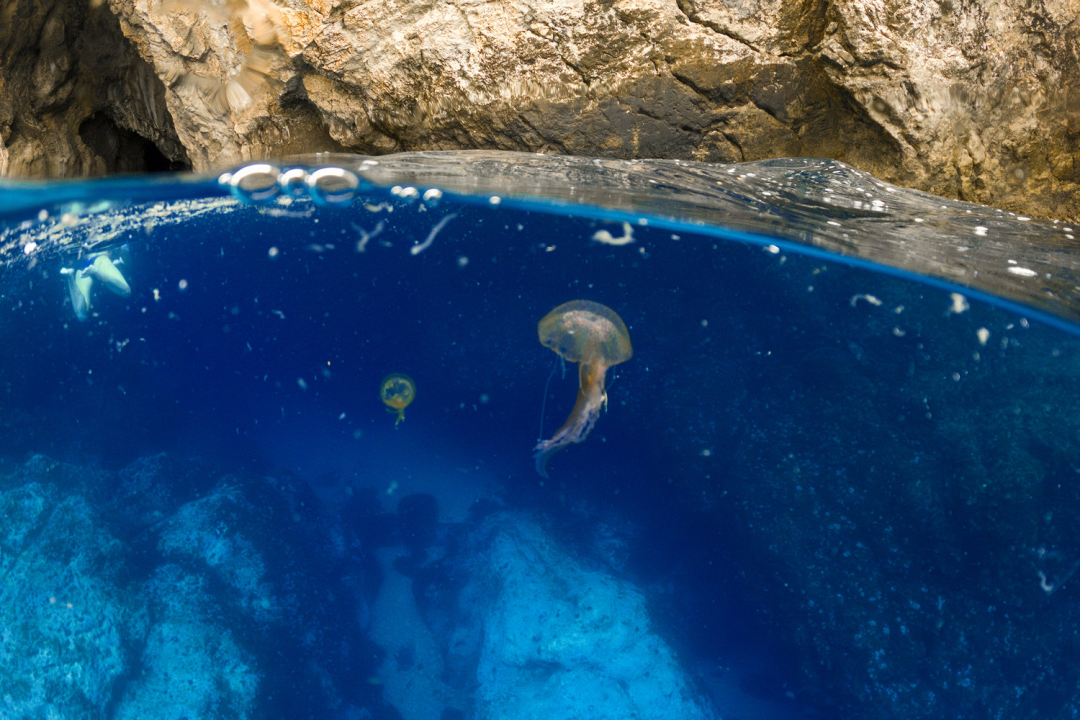 Nezaustavljiva Dina Levačić i prijatelji plivali putevima sredozemne medvjedice