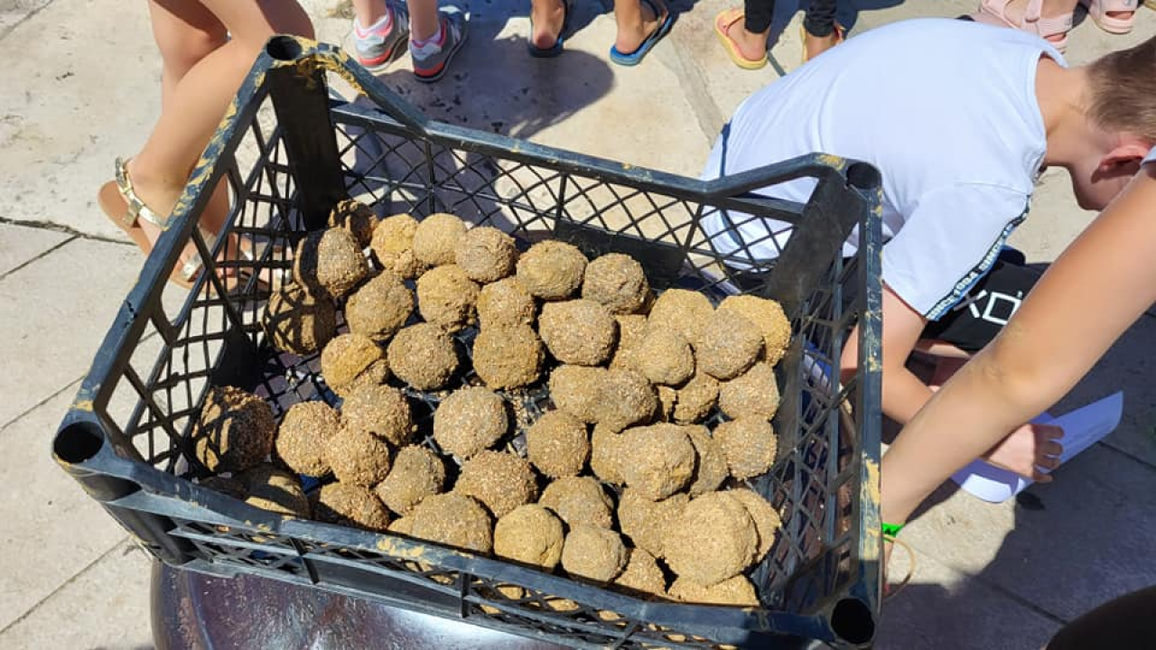 Šibenska djeca čistila i oplemenila more uz rivu: Na mulu Krke poletjelo na desetke eko-kuglica