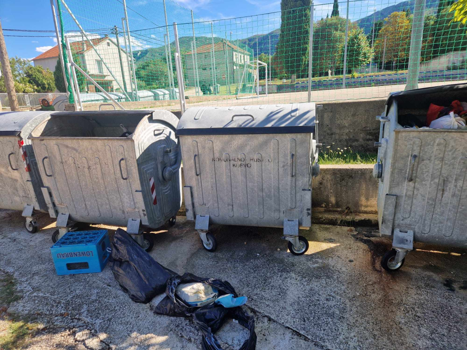 Volonteri kninske udruge ostavili 20 vreća životinjskog otpada u centru Kijeva