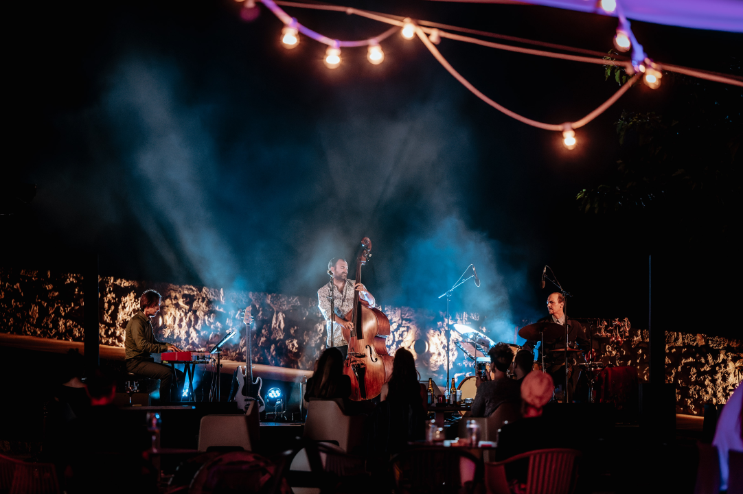 Vedran Ružić na Baroneu oduševio sa '6 metara', zanimljivim dokumentarcem pa jazz koncertom