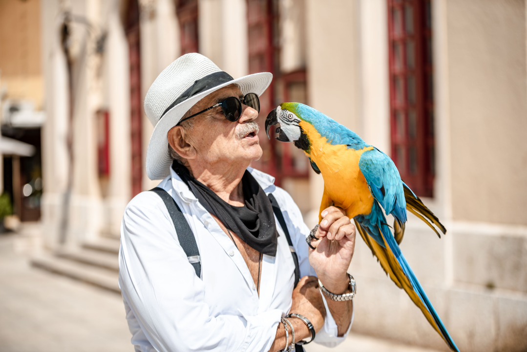 FOTO Đir po gradu, utorak 15. kolovoza