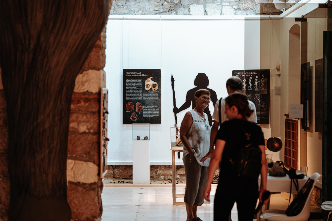 U Muzej ‘stigao’ stepski mamut iz Slavonskog Broda: ‘I Drniš svog mamuta ima'