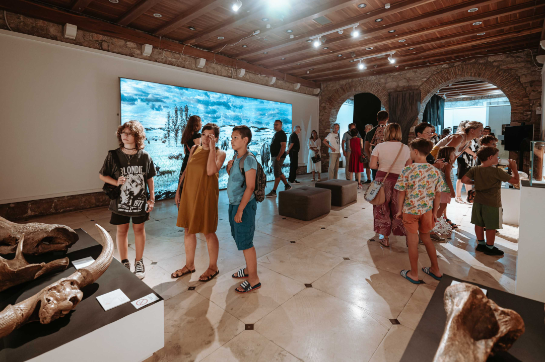 U Muzej ‘stigao’ stepski mamut iz Slavonskog Broda: ‘I Drniš svog mamuta ima'