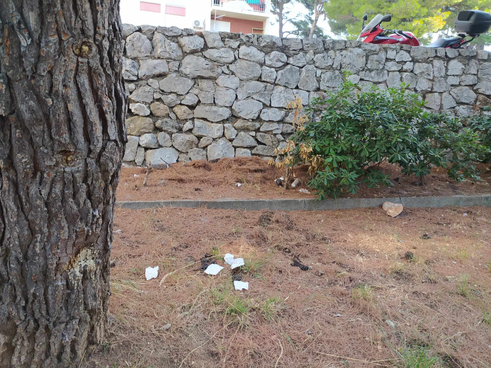 'Ispred Cvjetnog doma doslovno je javni zahod, bacaju od uložaka do četki za WC'