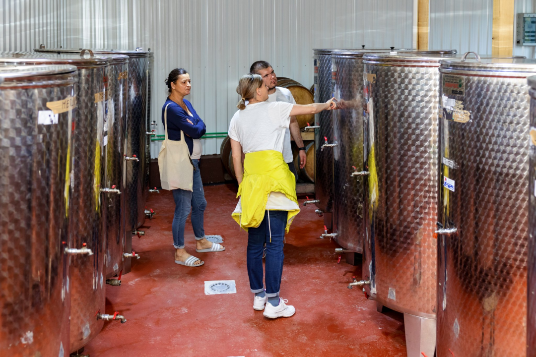 Na jesenskom roku upišite Veleučilište 'Marko Marulić' u Kninu!