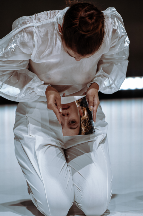 Strahovi malih razlika u Arsenu: Pitanja individualnog i kolektivnog, svjesnih i nesvjesnih obilježja sredine