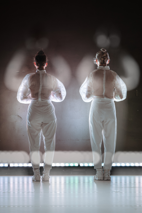 Strahovi malih razlika u Arsenu: Pitanja individualnog i kolektivnog, svjesnih i nesvjesnih obilježja sredine