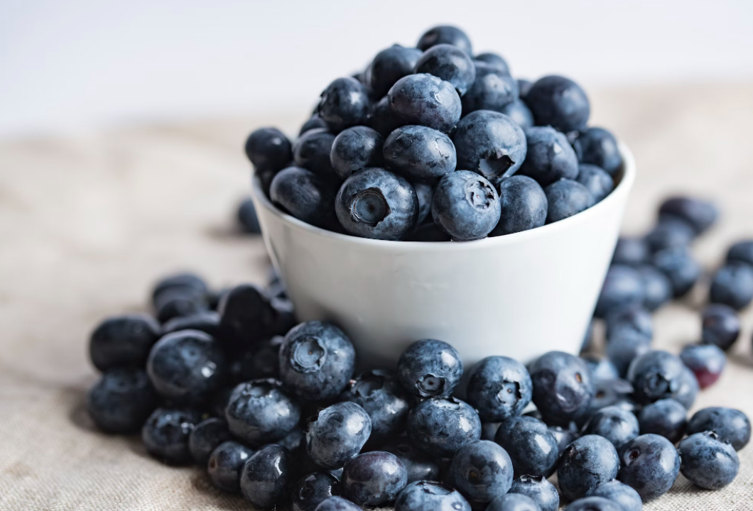 U Zagrebu dva dokumentarna filma o slavnom hrvatskom arhitektu Jurju Dalmatincu 