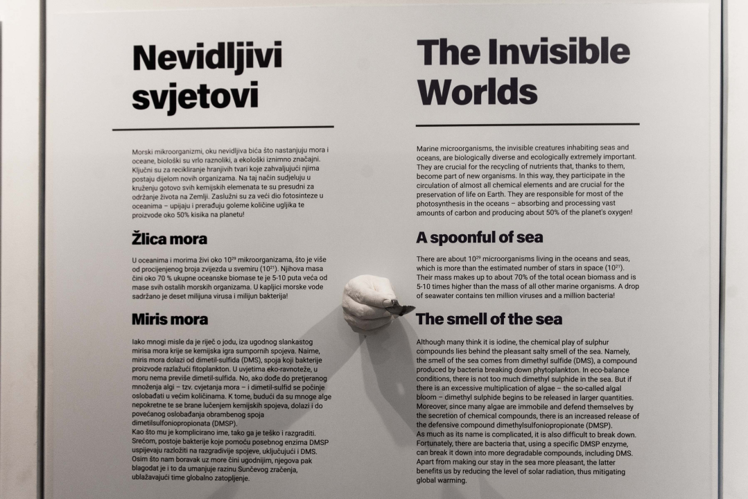 Ovaj vikend Posjetiteljski centar Kanal sv. Ante možete obići uz besplatne ture i stručno vodstvo!