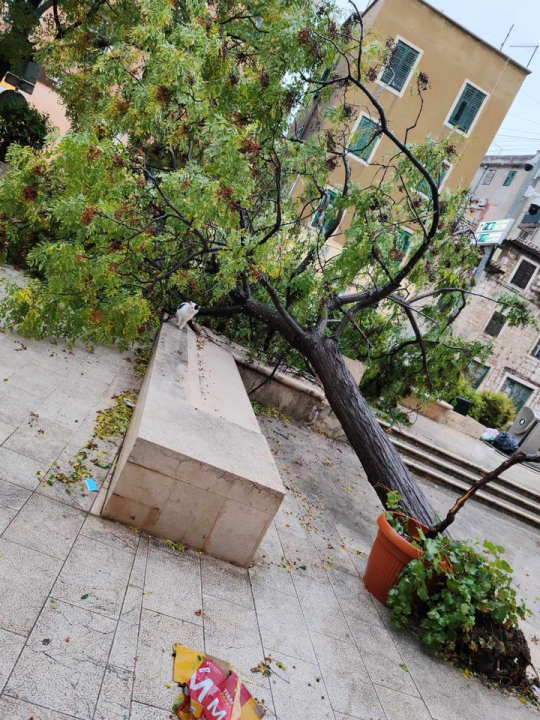 Olujni vjetar napravio kaos po gradu: Srušen rasvjetni stup na Starom pazaru, motori 'polegli' na Baldekinu...