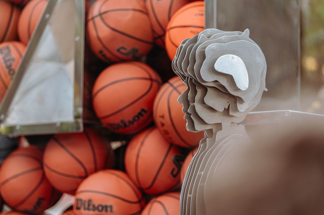 Umjetnička instalacija u spomen na Dražena Petrovića svečano otkrivena u đardinu