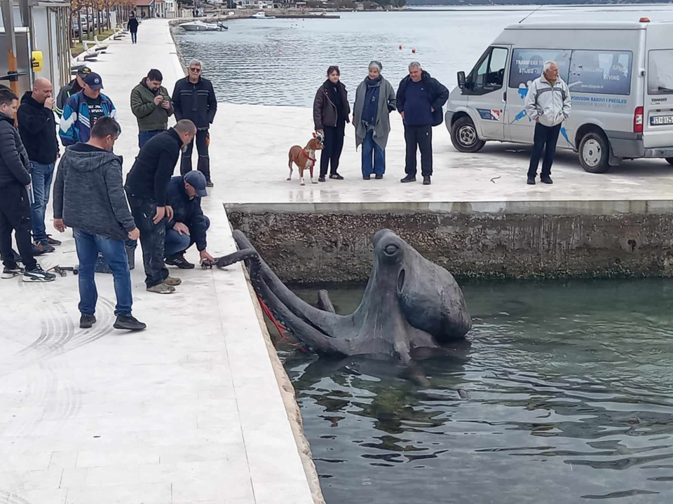 Mulo kod mosta u Tisnom napala gigantska hobotnica: Vjerojatno je riječ o 'osveti' 