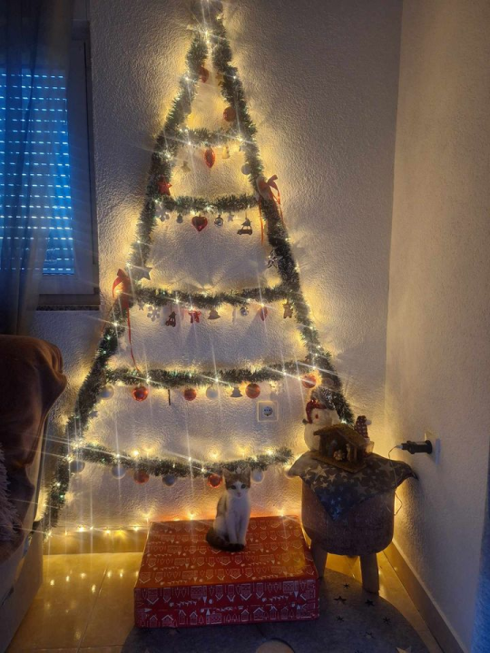 Provjerite tko su pobjednici izbora za naj jelku!