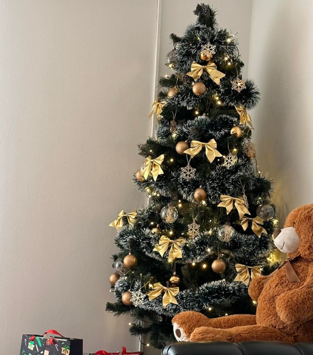 Provjerite tko su pobjednici izbora za naj jelku!