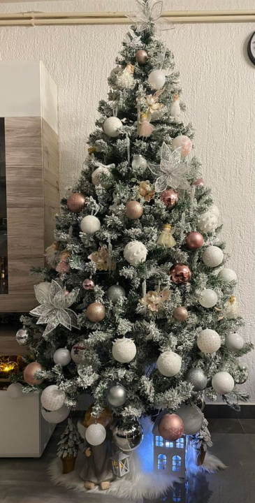 Provjerite tko su pobjednici izbora za naj jelku!