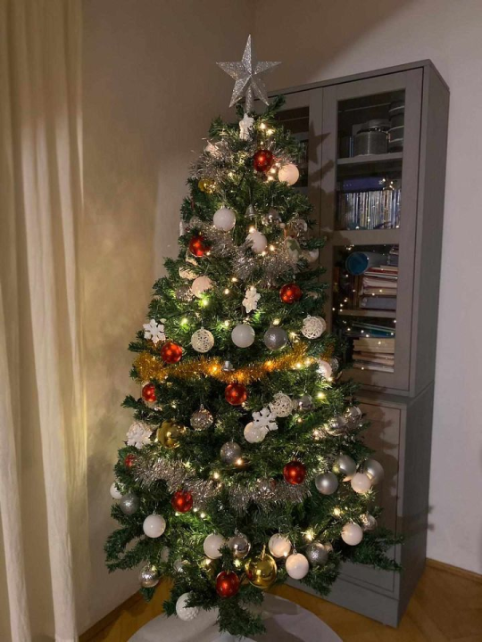 Provjerite tko su pobjednici izbora za naj jelku!