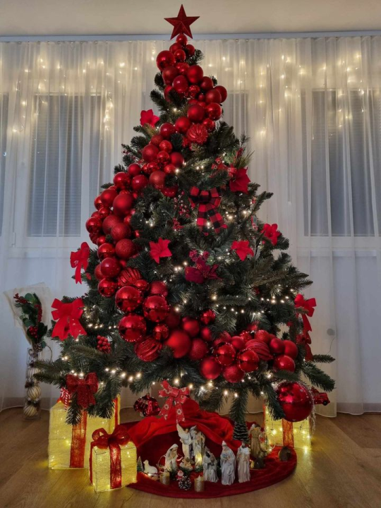 Provjerite tko su pobjednici izbora za naj jelku!