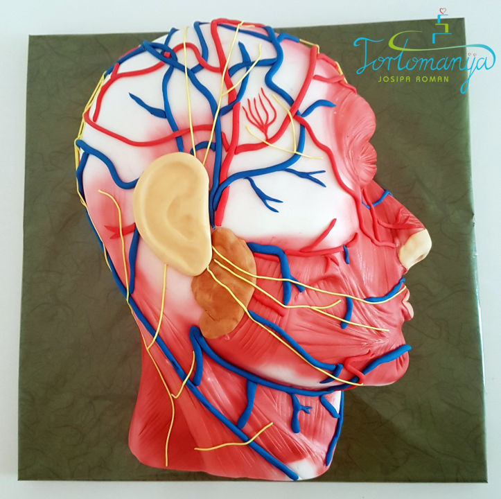 Josipa je ekonomiju zamijenila slastičarstvom i ljubav prema tortama pretvorila u posao: 'Obitelj mi je najveća podrška'