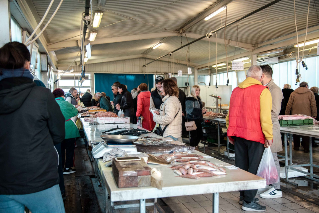 Šibenska peškarija danas nudi hamu, ribu na rubu istrebljenja u Jadranu