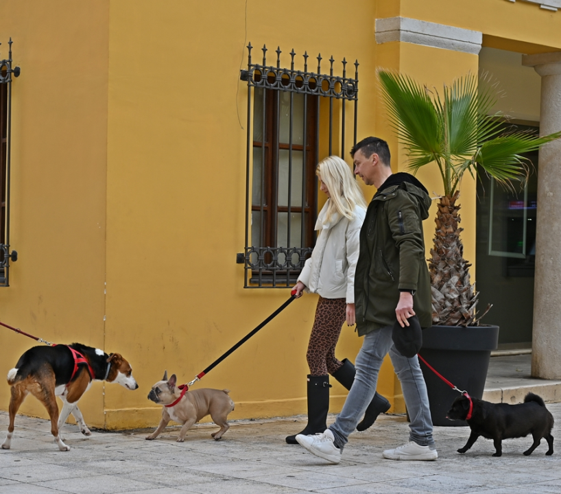 FOTO Đir po gradu, nedjelja 11. veljače