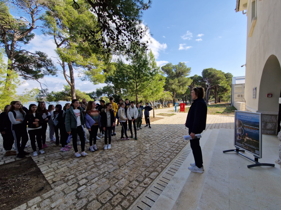 U Poliklinici Gemini bez čekanja obavite ultrazvuk abdomena te preglede interniste, gastroenterologa i kardiologa! 