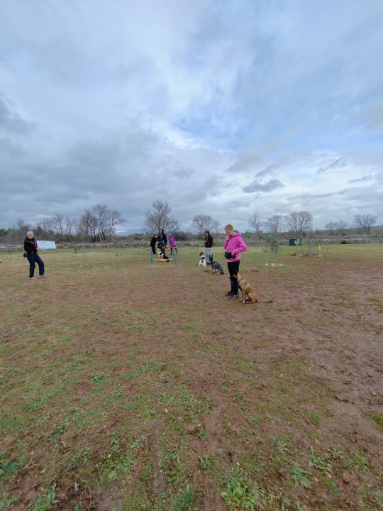 Marko Aleksić, interventni policajac i trener pasa: 'Odgoj psa treba shvatiti ozbiljno, a veću ljubav u životu nećete dobiti'