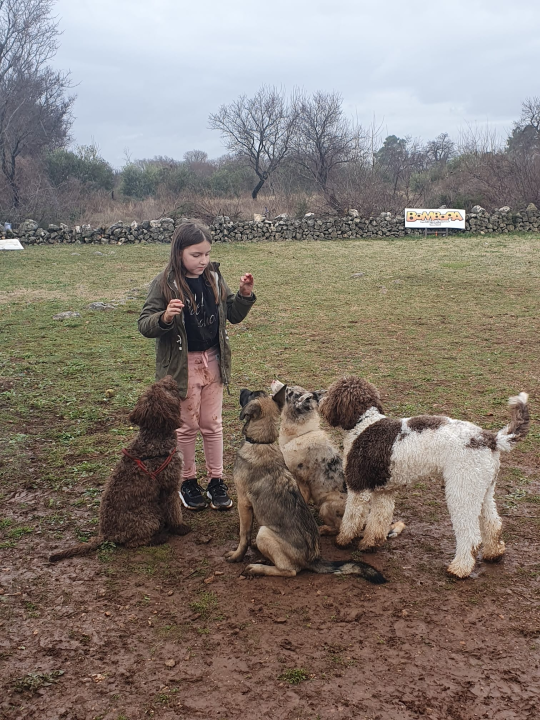 Marko Aleksić, interventni policajac i trener pasa: 'Odgoj psa treba shvatiti ozbiljno, a veću ljubav u životu nećete dobiti'
