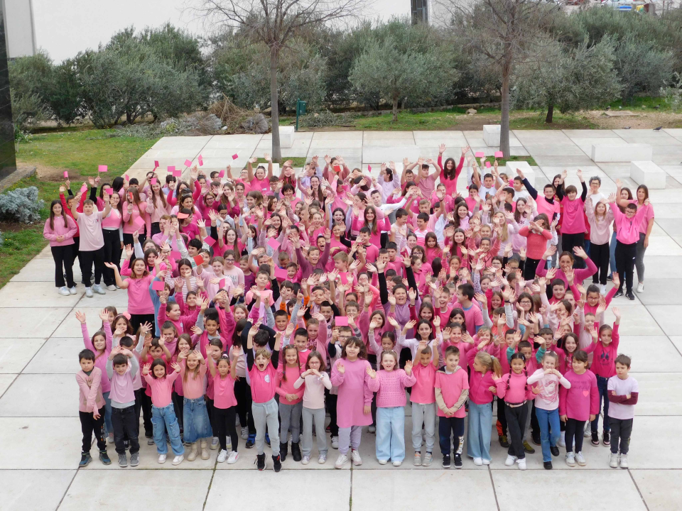 U Osnovnoj školi Meterize obilježen 'Dan ružičastih majica'