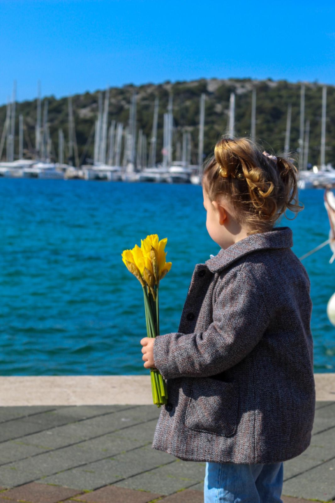 Dan narcisa obilježen u Rogoznici