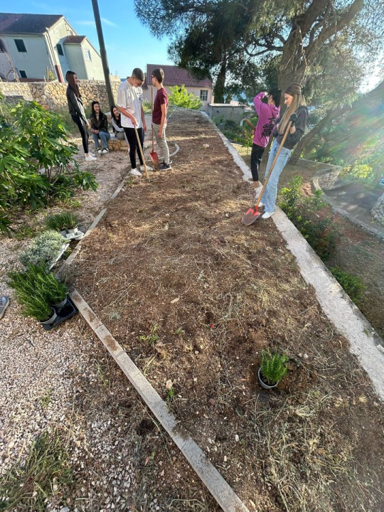 Učenici Ekonomske škole ispred glavnog ulaza posadili sadnice ljekovitog grmlja
