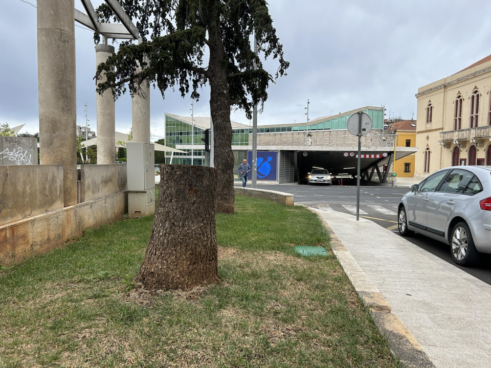 Stablo ispred Gradske uprave kapituliralo pred pilom: 'Počelo se sušiti pa smo uklonili zbog sigurnosti'