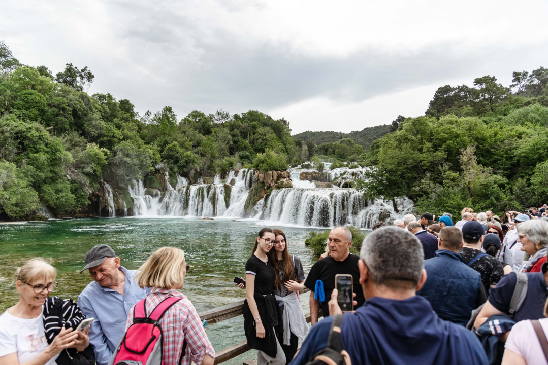 Podijeljeno tisuću sadnica lavande i lovora: 'Želimo očuvati naše ekosustave i poticati bioraznolikost' 