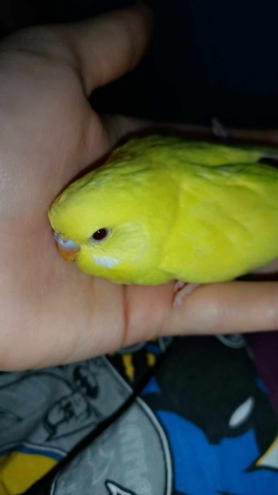 Provjerite tko su naj ljubimci 2024. godine!