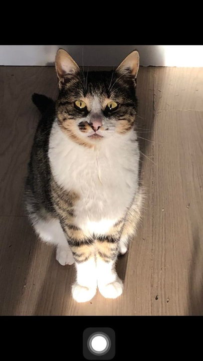 Provjerite tko su naj ljubimci 2024. godine!