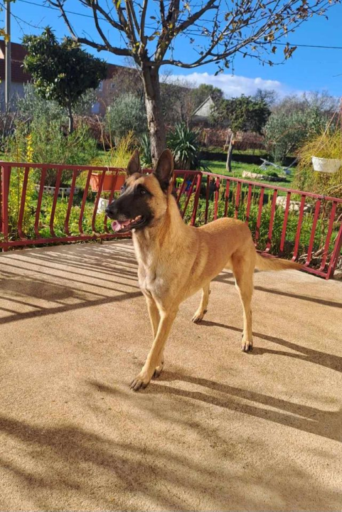 Provjerite tko su naj ljubimci 2024. godine!