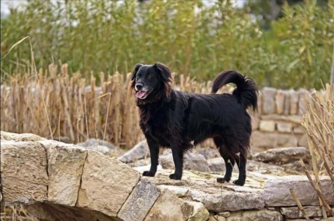 Omiljeni bistro Kod Starog odlično je odredište i u ljetnim danima!